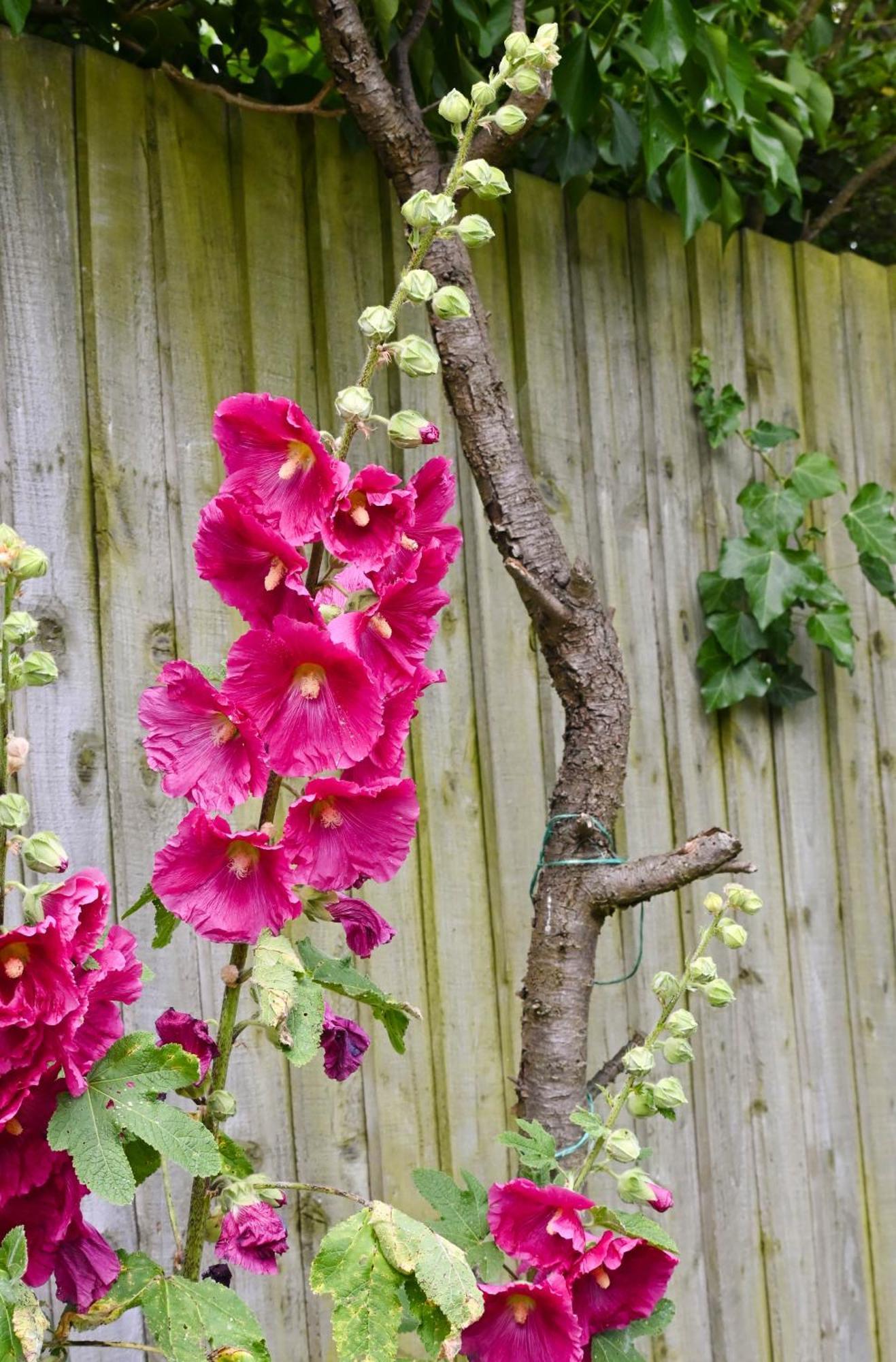Sweet Pea Cabin Badsey 外观 照片
